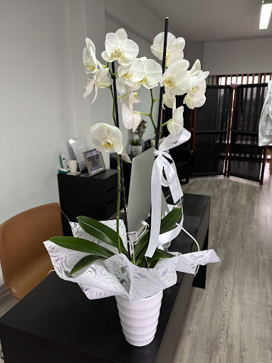 Boules Acupuncture Clinic image 2