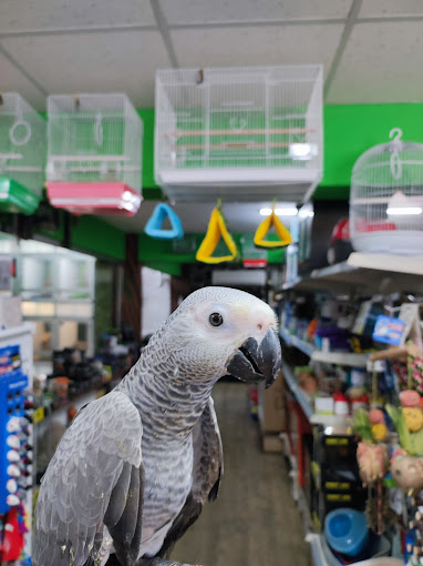 Beasties Pet Shop image 2