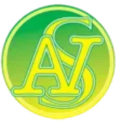Avantes detective & security