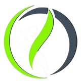 BodyFitness Gym