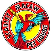 Scarlet Macaw Petshop