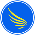 Aviation Consultancy Expertise