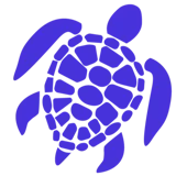 SEO Turtle SEO Agency Cyprus