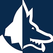 Watchdog Security Systems