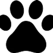 ASGATA REDROCK KENNELS AND CATTERY