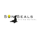 Sun Seals Divers