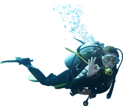 Abyss Dive Center