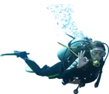 Abyss Dive Center