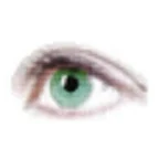 Eyespot Optical House