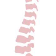 deSpine Chiropractic Center