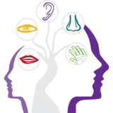 Multisense Ltd