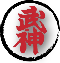 Ninjutsu. Bujinkan Dojo